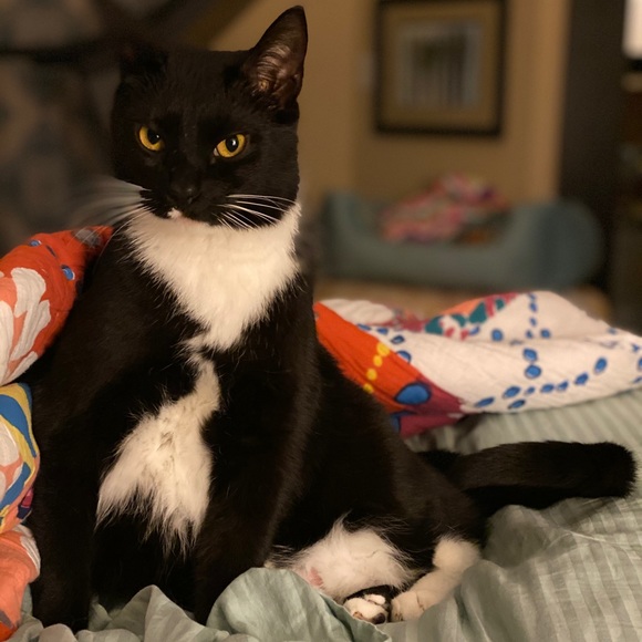 Meet your Posher, Sara - Picture 11 of 12